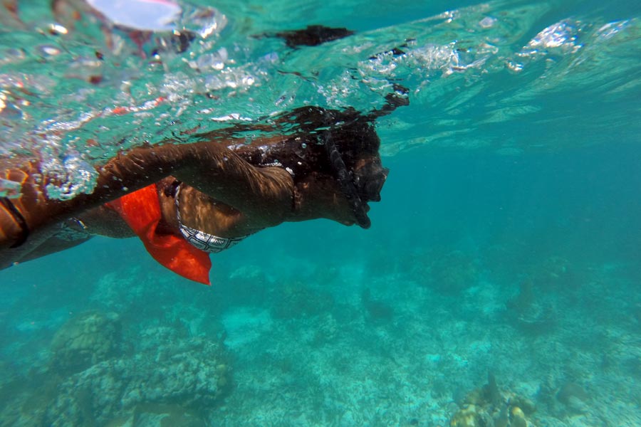 Why snorkeling is fun image