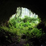 Hidden Cave in Cornwall Barracks Jamaica