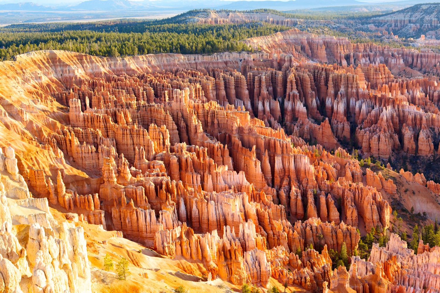 Embrace Autumn's Splendor: Top 10 National Parks In The USA for Cozy Fall Getaways!