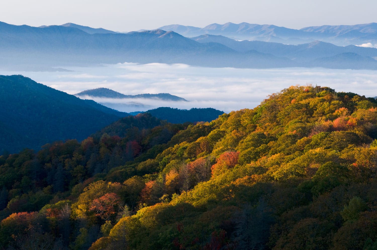 Fall colors in the Smoky Mountains National Park