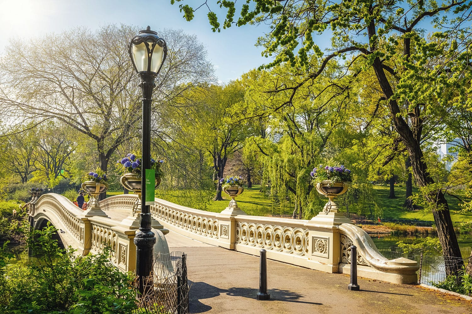 Bow bridge in Central park, New York City