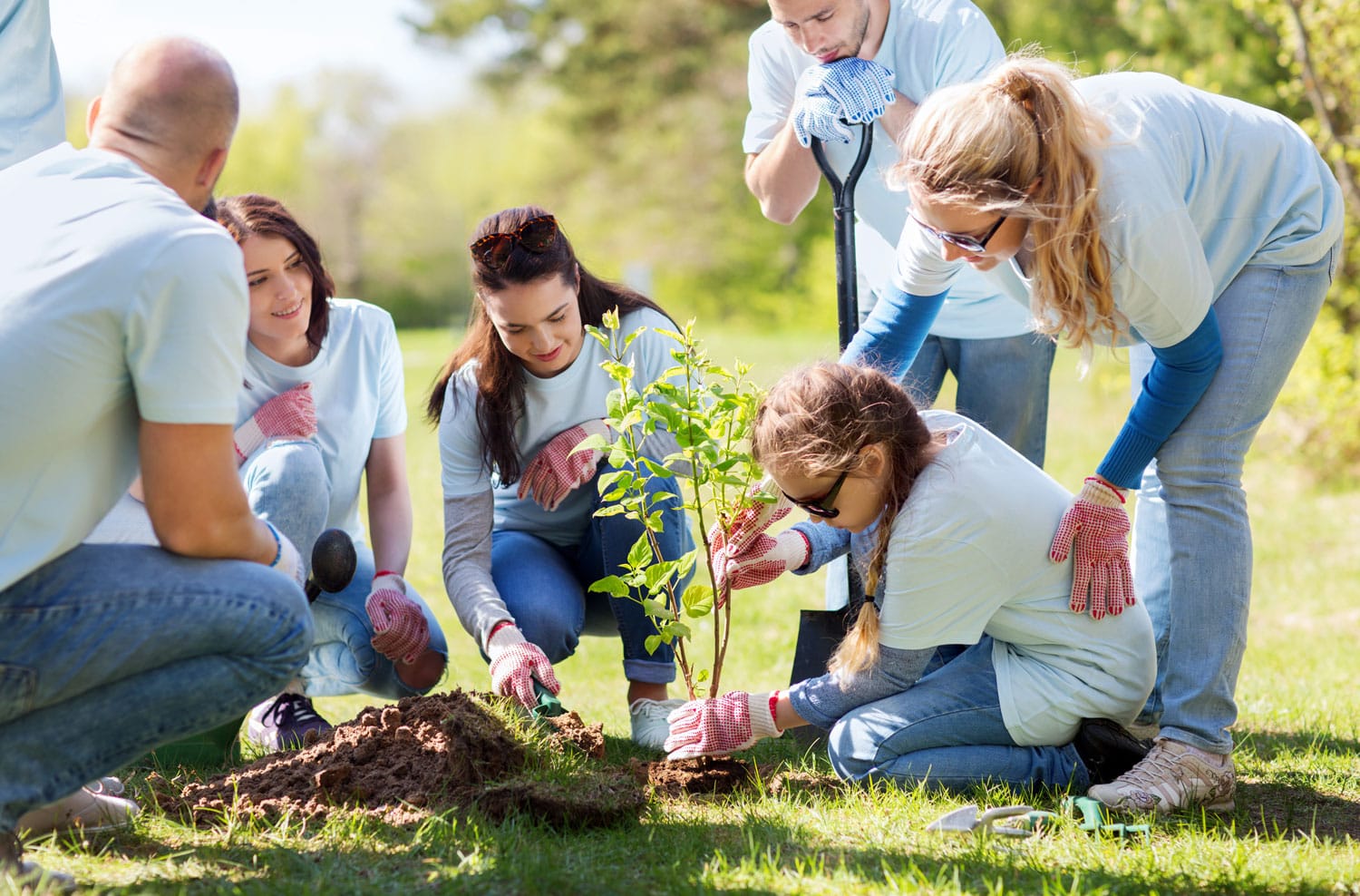 group of happy volunteers planting treel in park