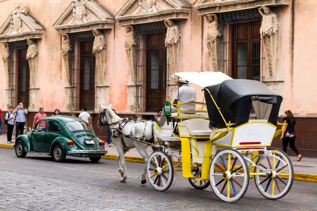 Horse carriages with passengers on a city street in Merida Mexico.