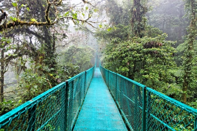 Rain forest in Monteverde, Costa Rica, Central America