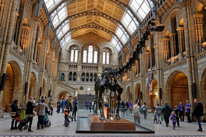 Natural History Museum interior in London, England