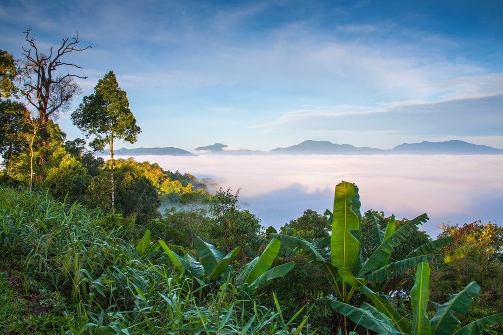 Morning Mist at Tropical Mountain Range,This place is in the Kaeng Krachan national park,Thailand