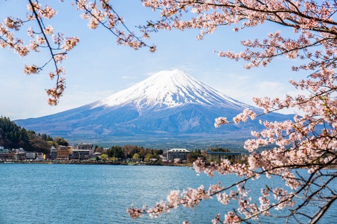 Mount Fuji with cherry blossom at Lake kawaguchiko in japan