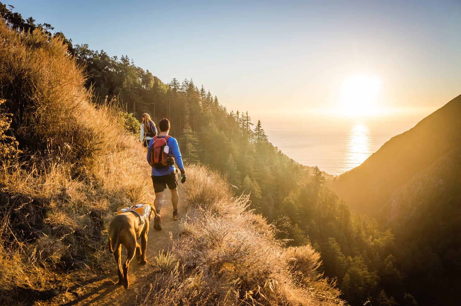 Man, woman, and dog hike in Big Sur, CA as the sun sets over the ocean.