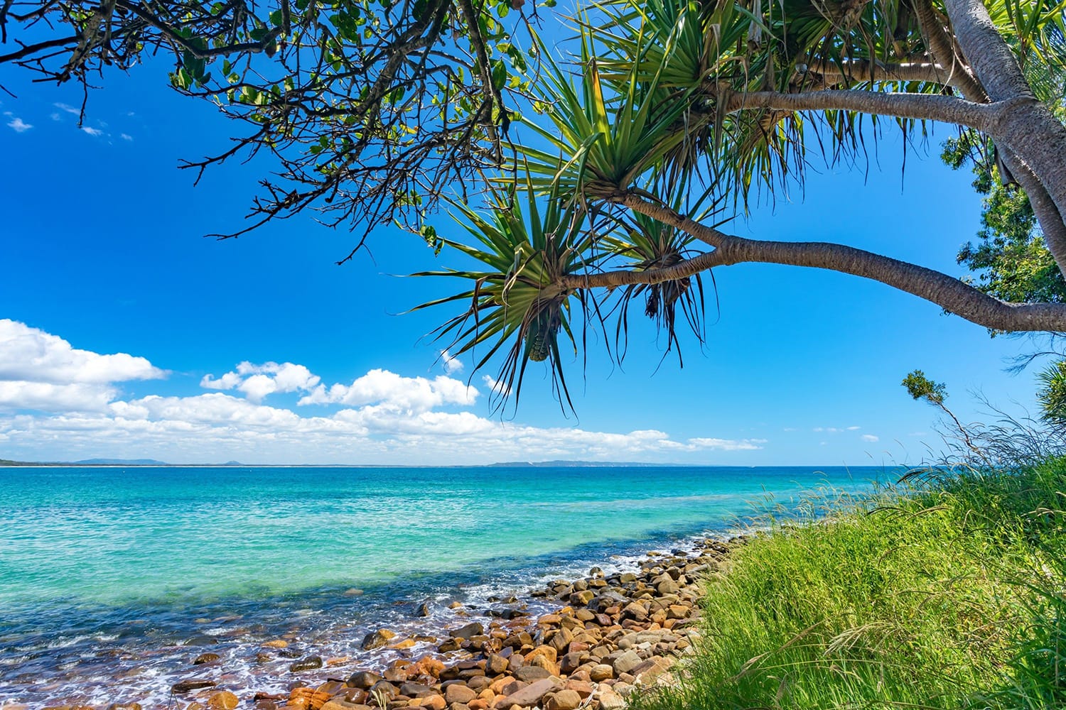 Beautiful day with blue sky on the coastline of Noosa National Park, Noosa, Queensland, Australia.
