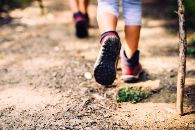 Children hiking in mountains or forest with sport hiking shoes. Girls or boys are walking trough forest path wearing mountain boots and walking sticks