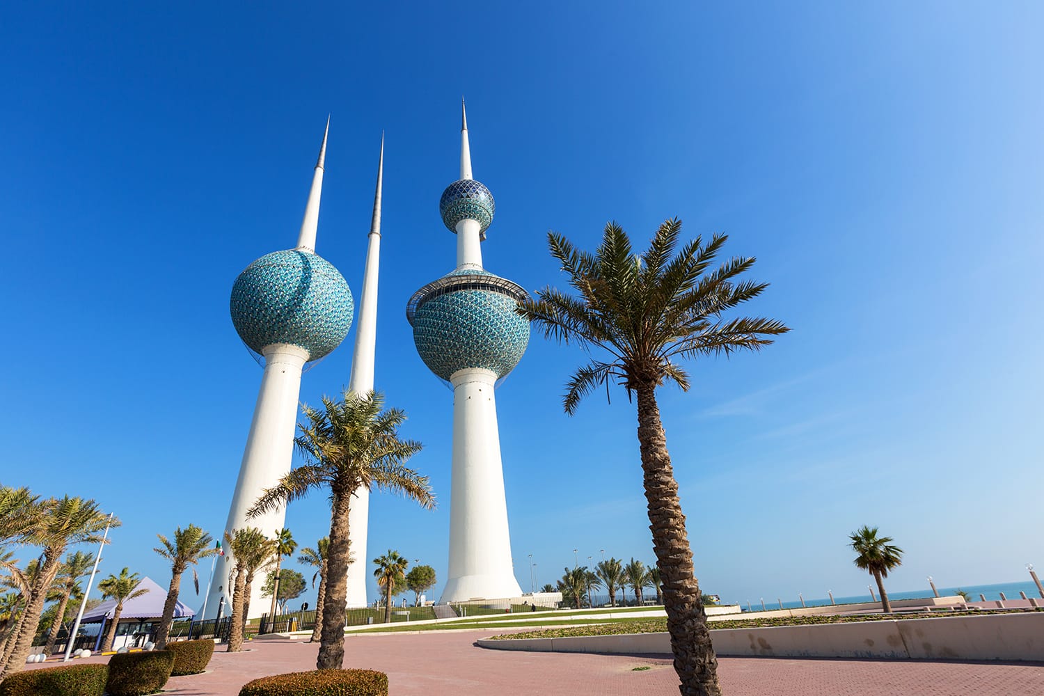 Kuwait Towers and Palms