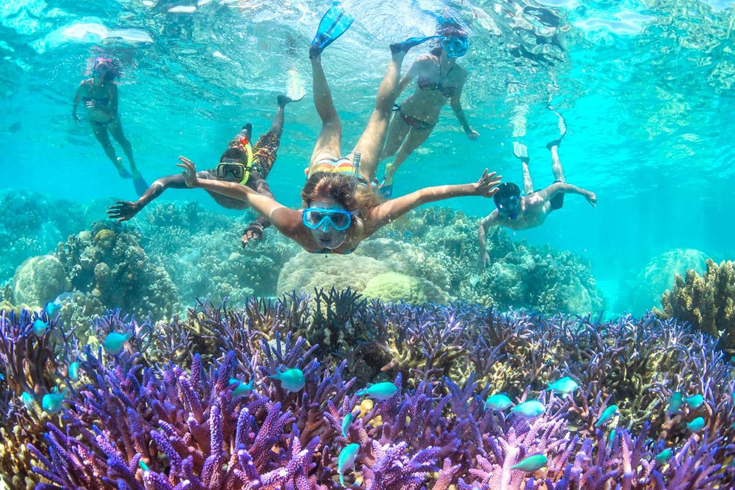 Snorkeling di Kaledonia Baru