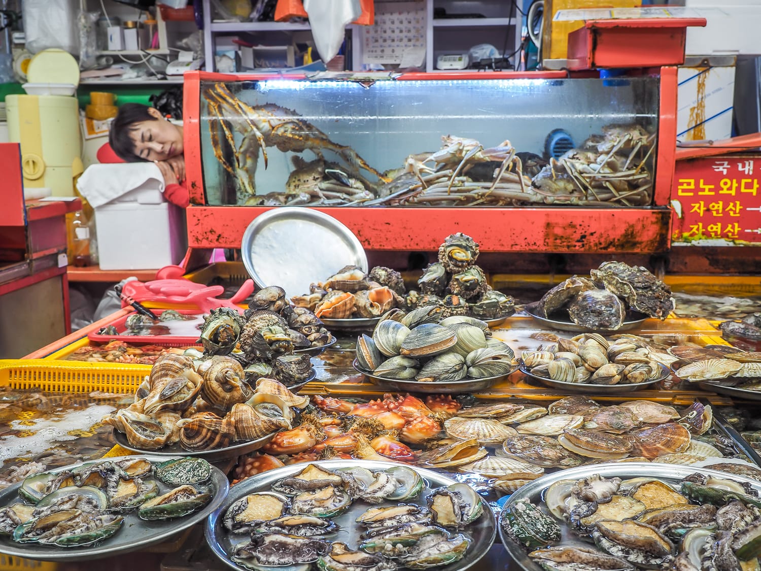 Jagalchi Market in Busan, South Korea