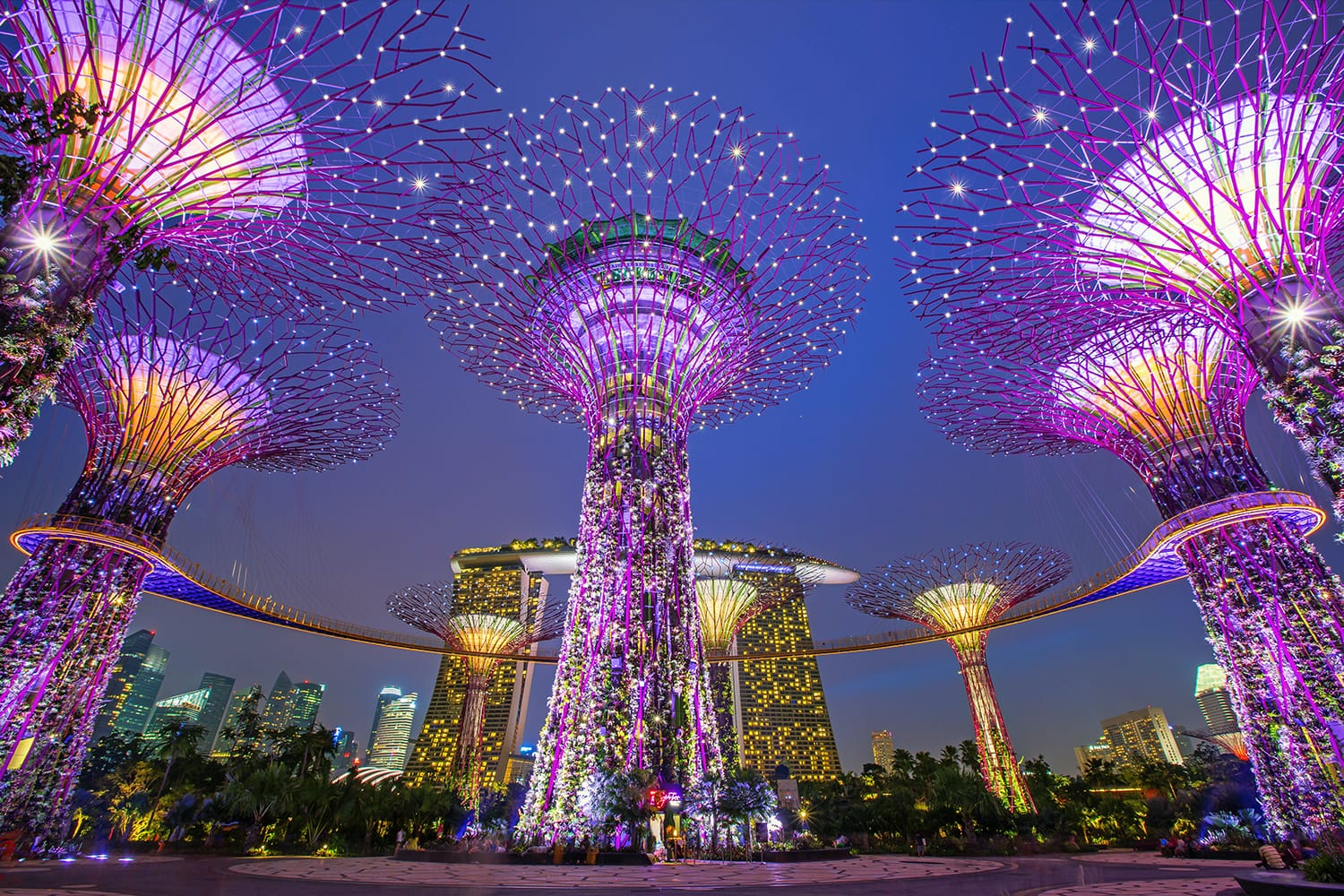Night view of Supertree Grove at Gardens by the Bay in Singapore