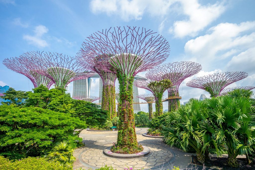 Supertrees at the Gardens by the Bay in Singapore