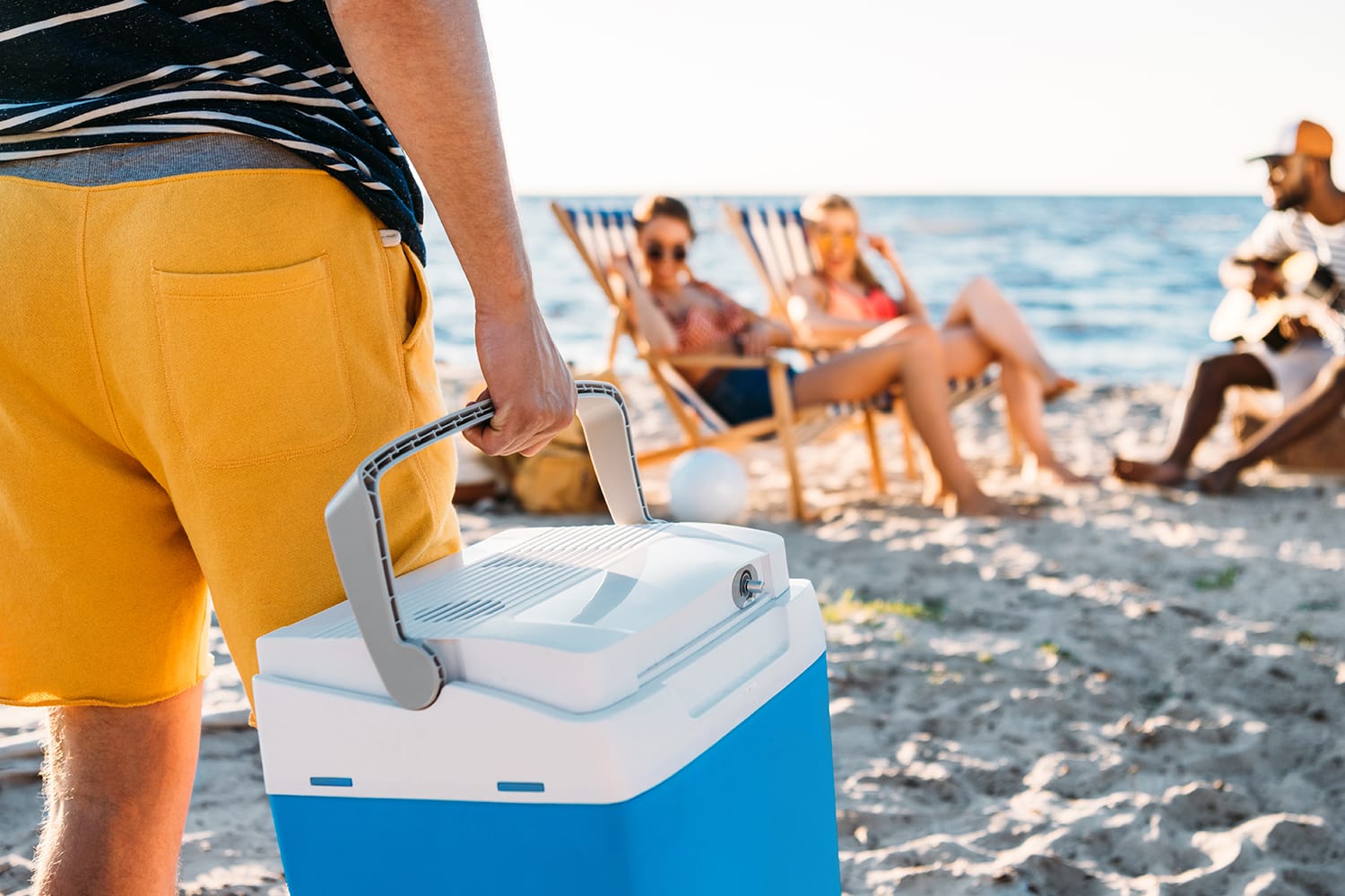 Large Electric BERG 45 Litre Cooler Cool /Warm Box Camping Beach Picnic RRP £189 