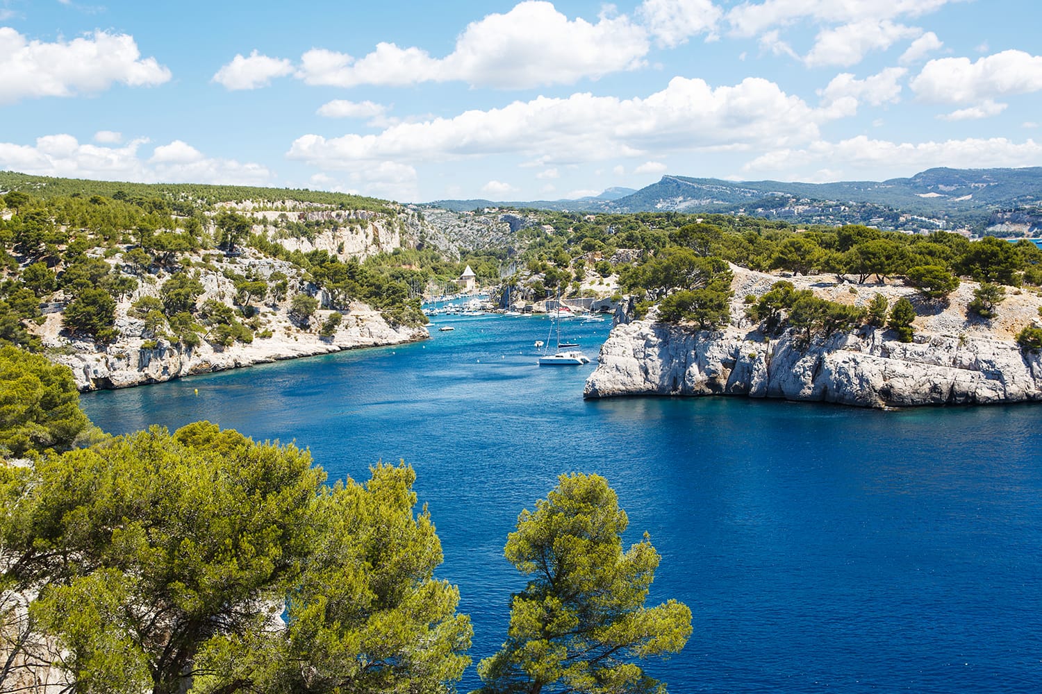 Calanques of Port Pin in Cassis, Provence, France
