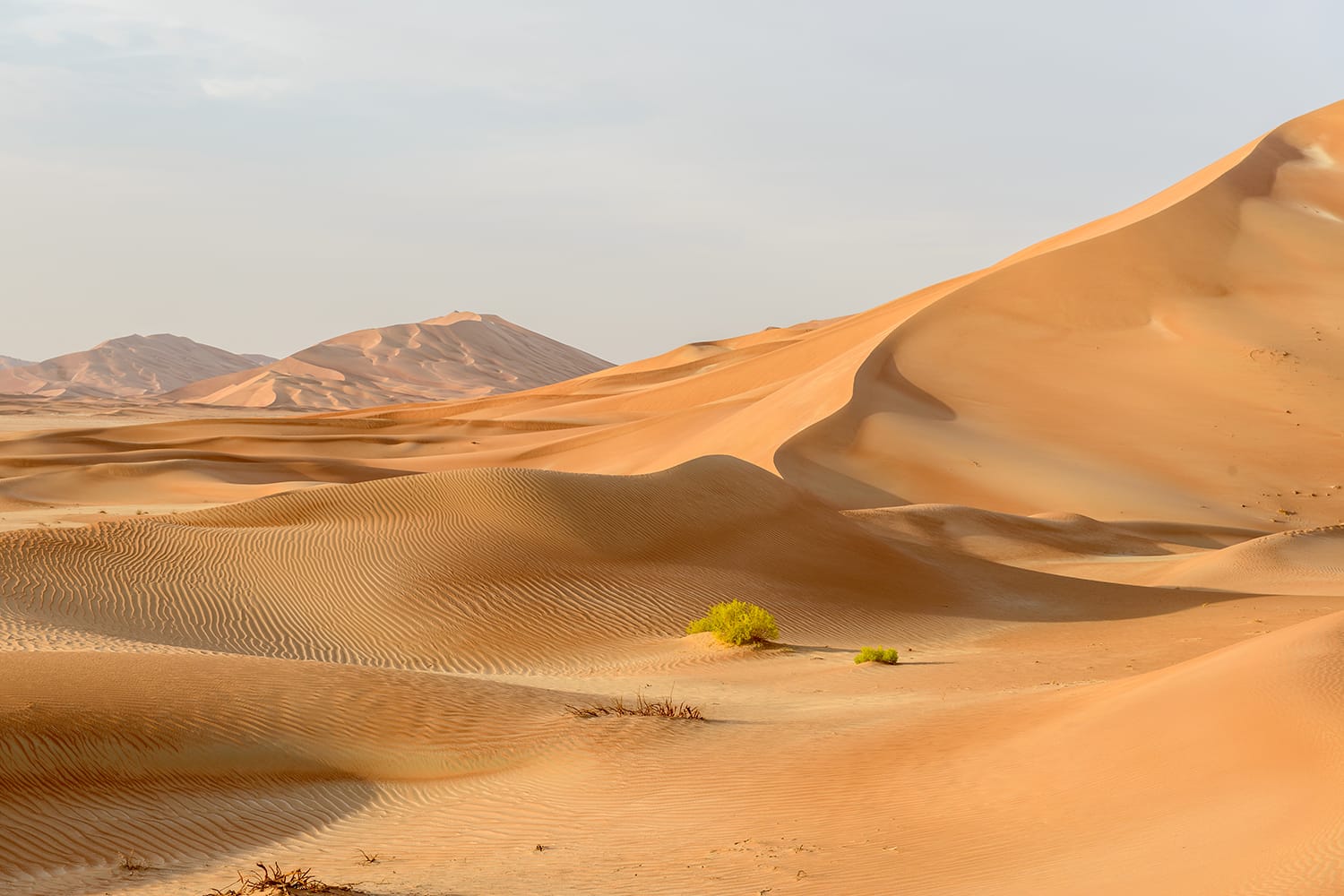 Sand dunes in Rub al-Khali desert, Dhofar region (Oman)