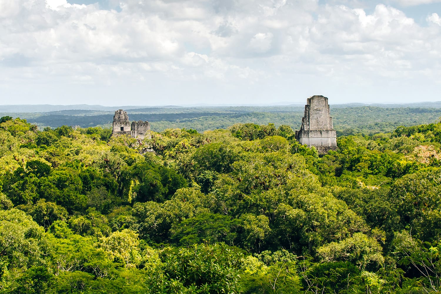View over ruins in Tikal, Guatemala