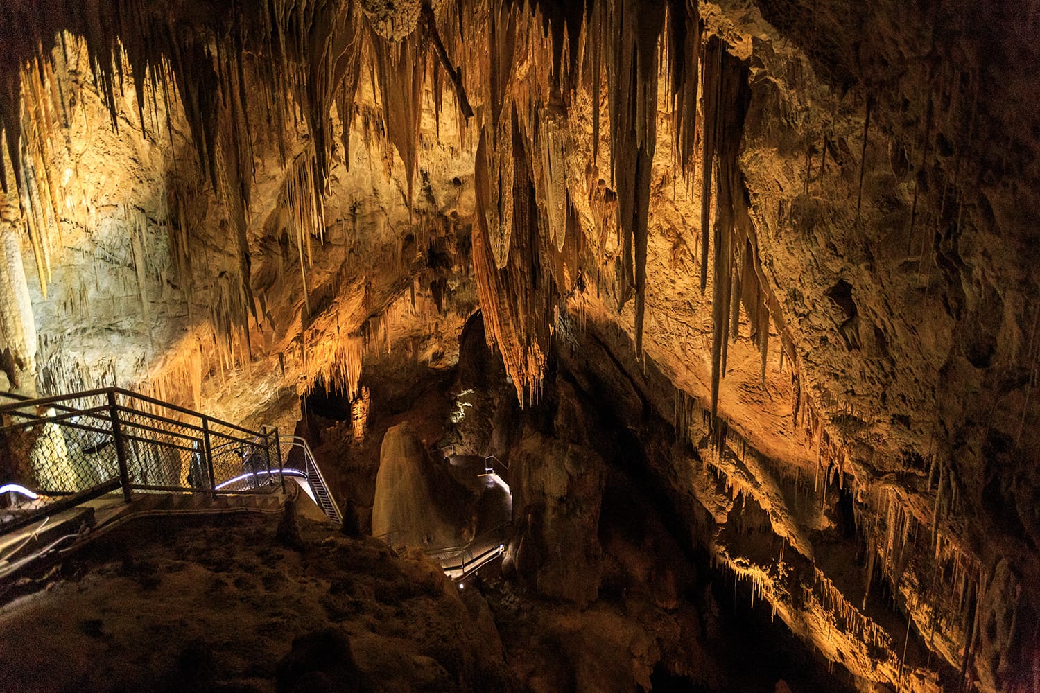 Newdegate Cave, també conegut com Hastings Caves, sud de Tasmània, Austràlia