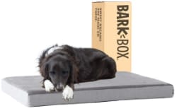 Platform Busa Memori Barkbox Tempat Tidur Anjing