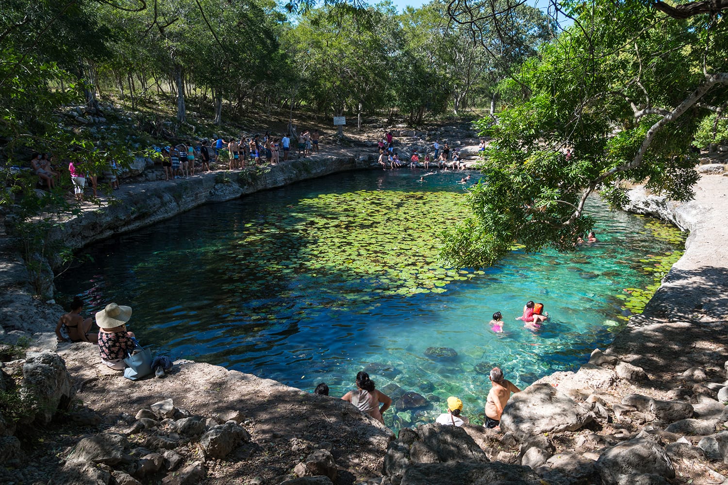 Cenote Xlacah situado en la zona arqueológica de Dzibilchaltun en México