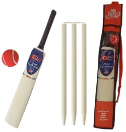cricket set