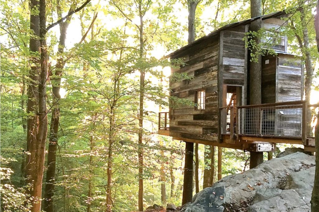 Beautiful Treehouse Airbnb in Georgia, USA