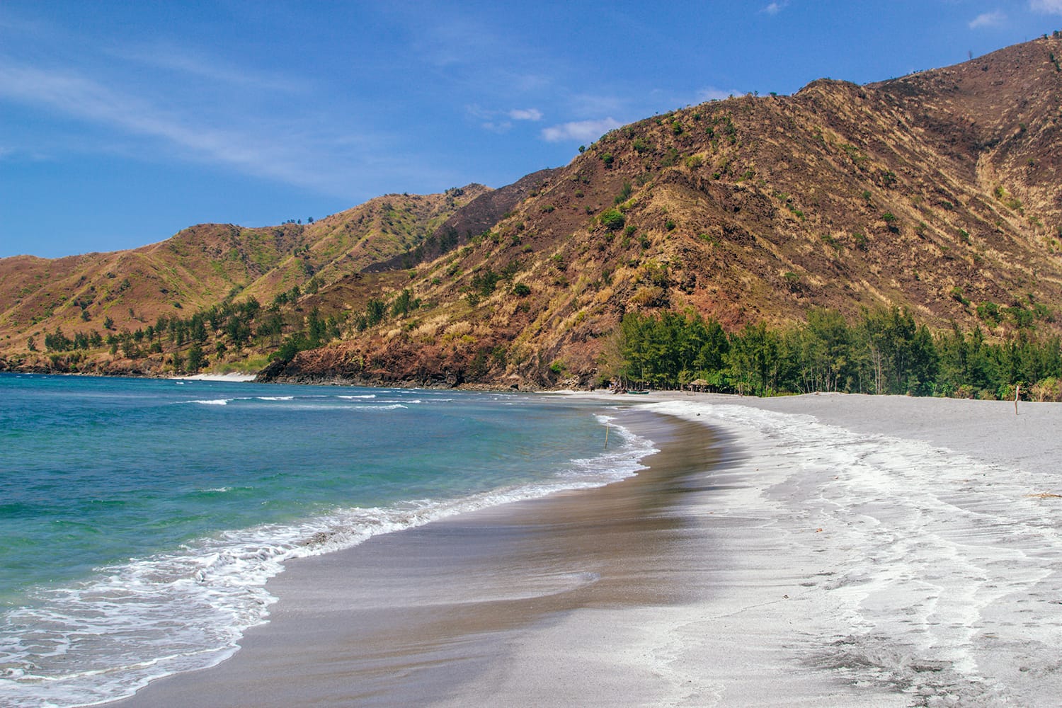 Nagsasa Cove, a beach strewn with volcanic ash from Mt. Pinatubo and covered by sea pine trees in San Antonio, Zambales, Philippines
