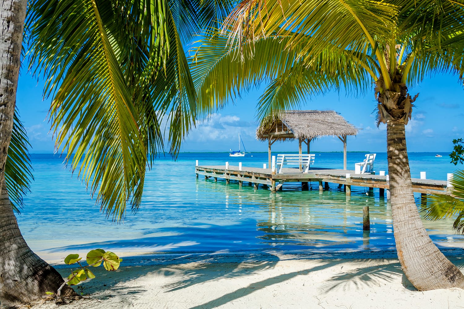 Beach in Ambergris Caye, Belize