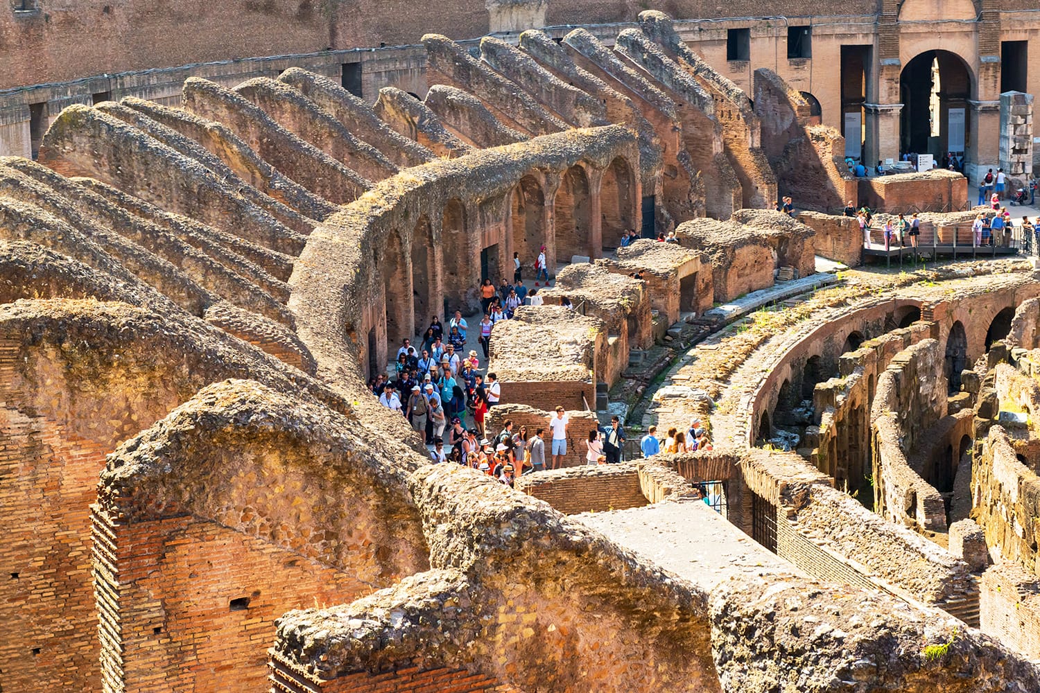 Colosseum (Coliseum) in Rome, Italy.