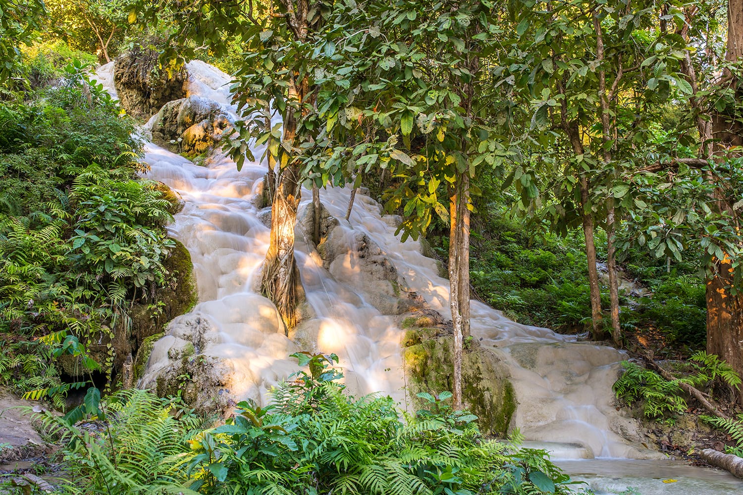 Namtok Bua Tong (Sticky waterfall) in Northern Thailand