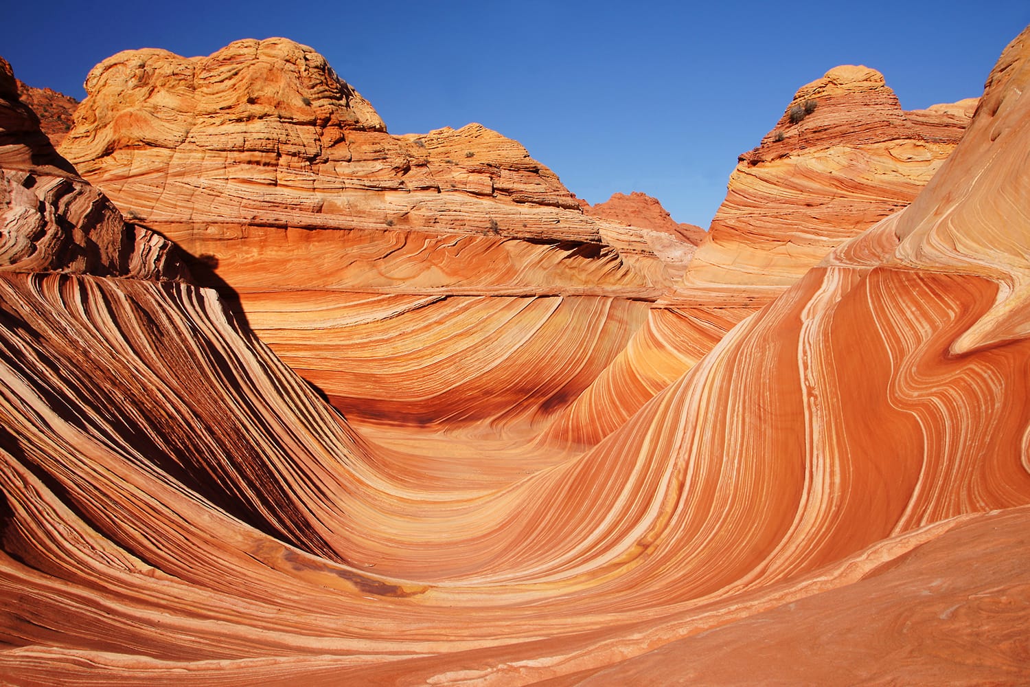 The Wave in the Vermilion Cliffs National Monument in Arizona, USA