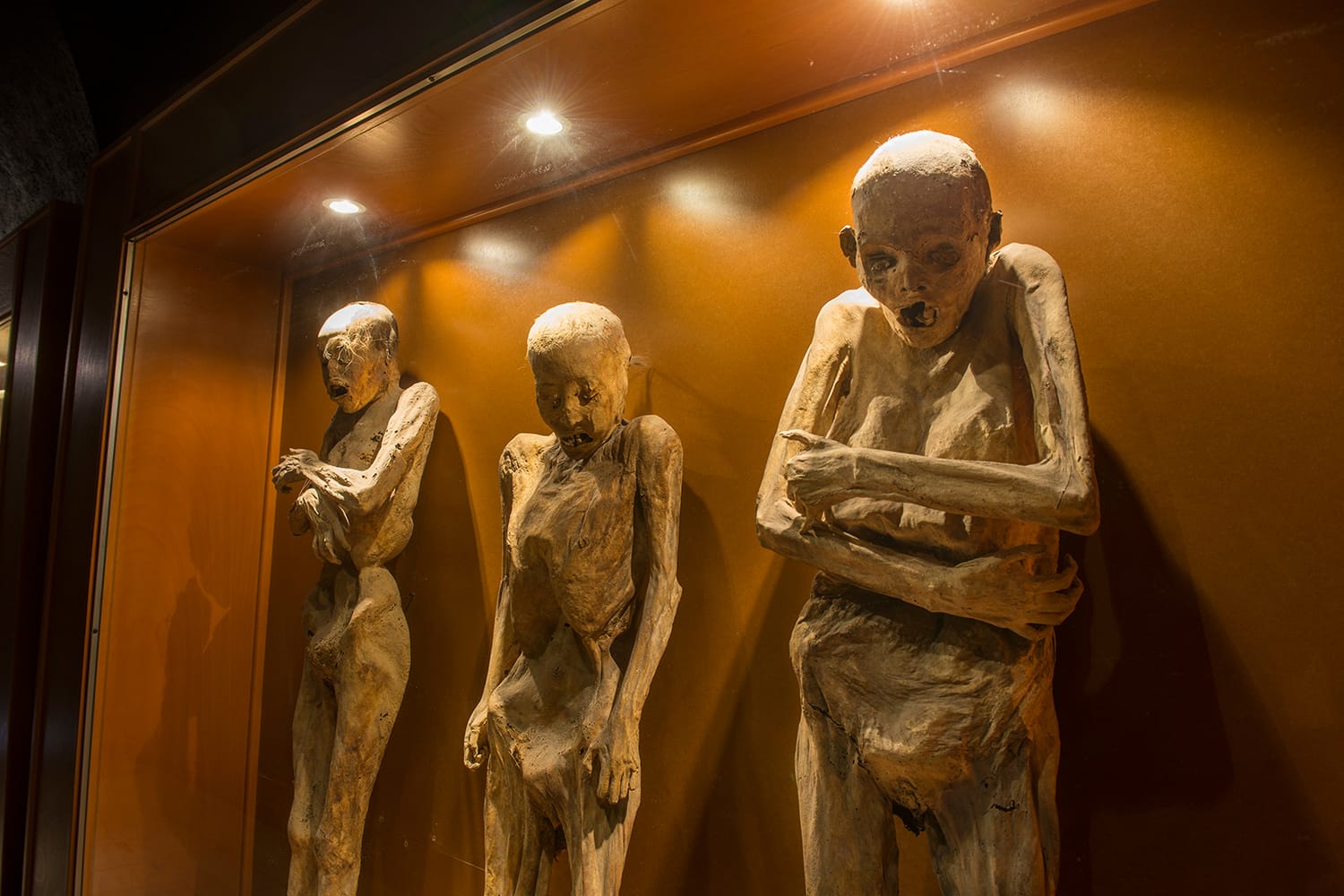 Museum of the Mummies in Guanajuato, Mexico