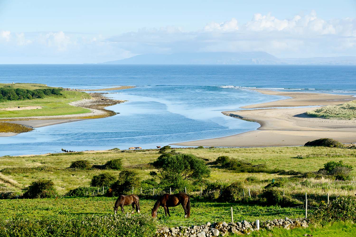 Beautiful landscape with horses in County Sligo, Ireland
