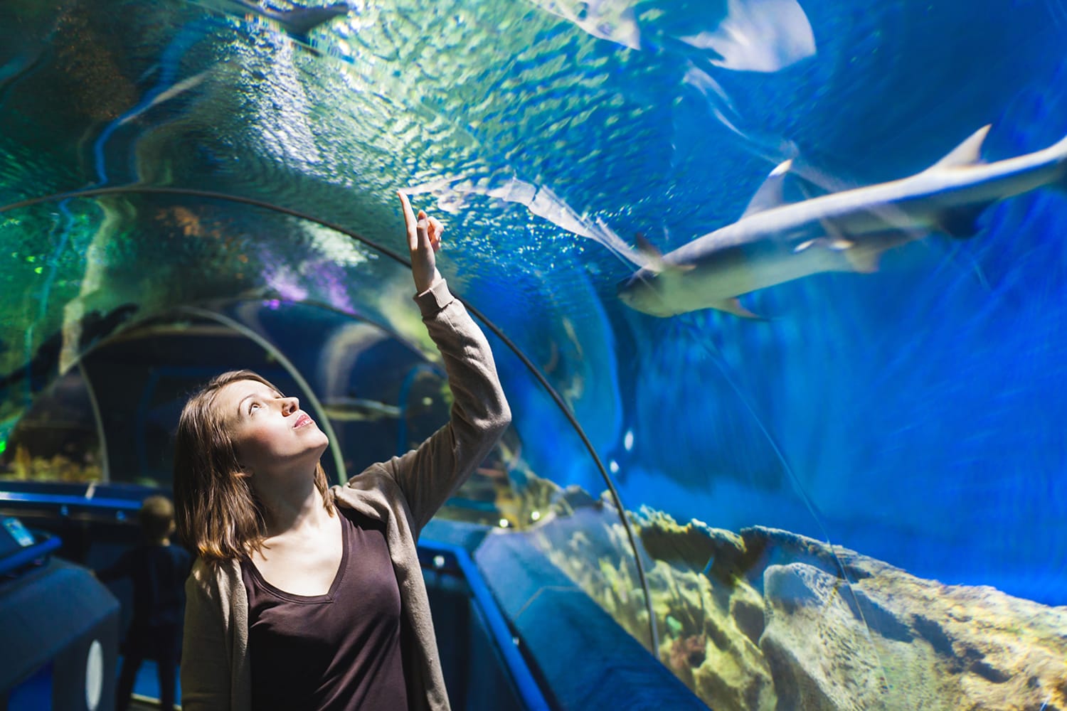 Young girl in aquarium tunnel with sharks