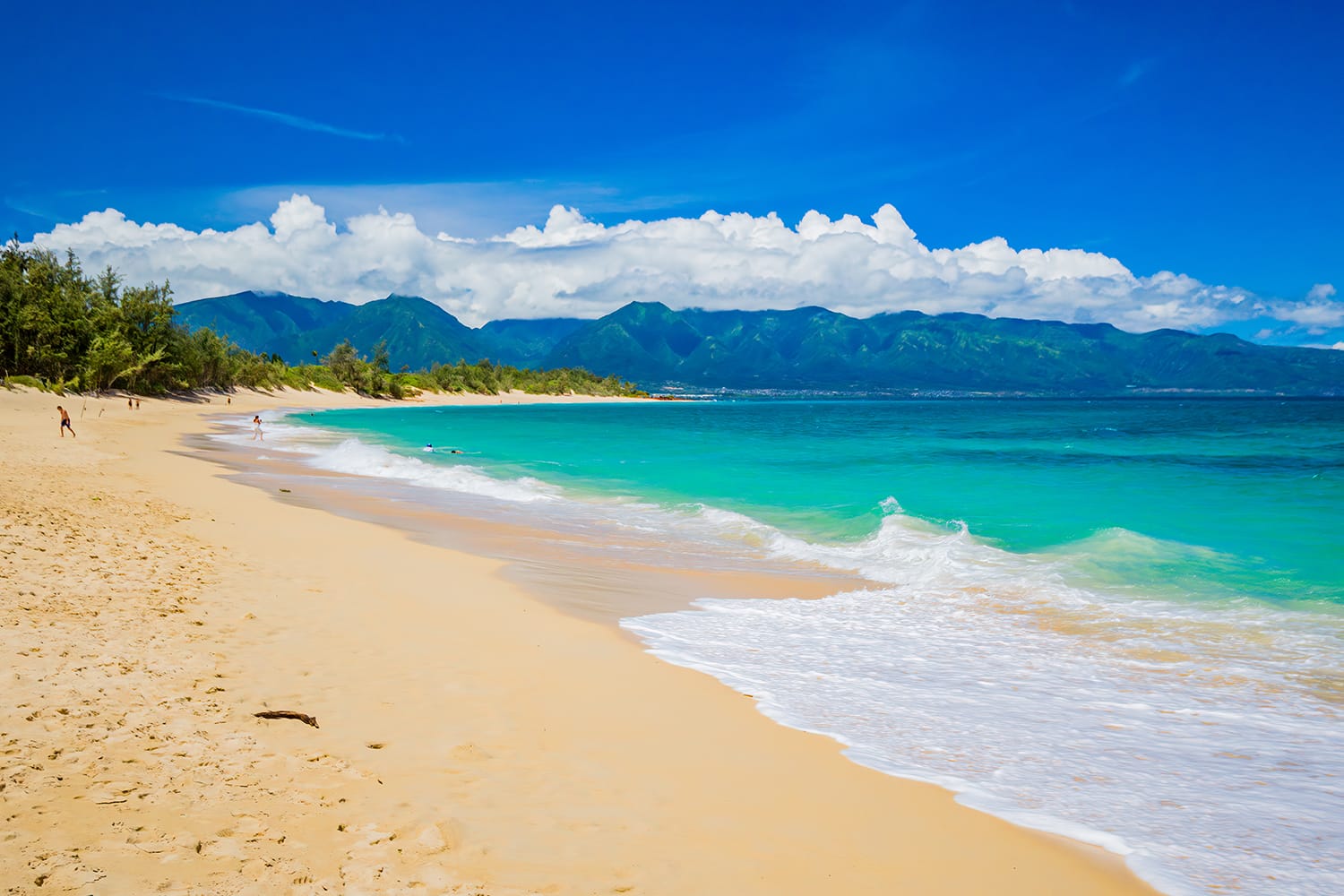 Baldwin Beach Park is a beautiful, long white-sand beach on Maui's North Shore.