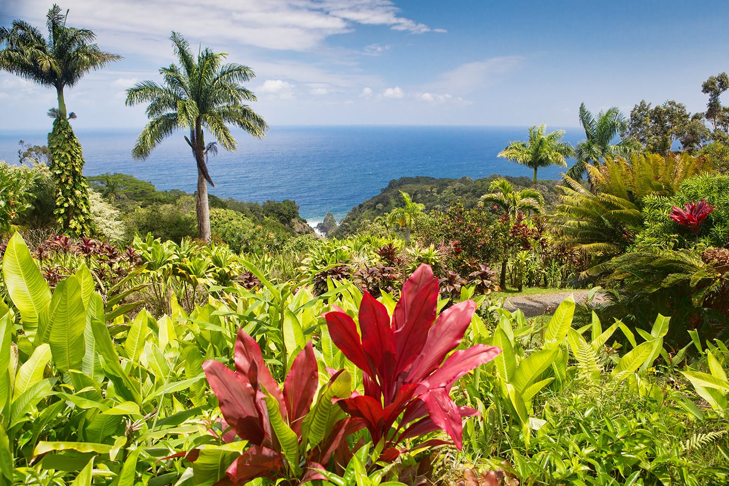 Garden of Eden Arboretum and the Keopuka Rock Overlook in Maui, Hawaii