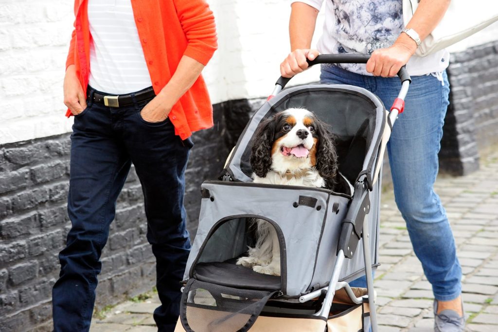 0円 おすすめ特集 Dog And Cat Pet Stroller Foldable For Small Medium Dogs Cats 2 In 1 Puppy Buggy Pushchair Pram Lightweight Up To 20Kg