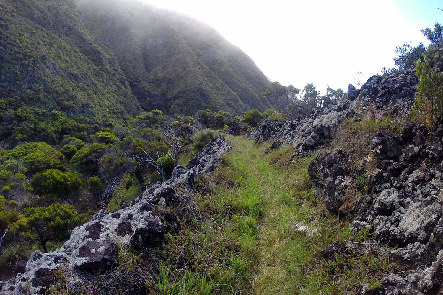 Hiking the Kaupo Trail in Maui, Hawaii