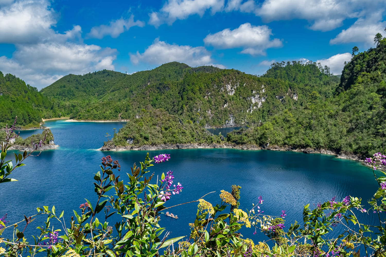 Wildflowers against turquoise waters of one of the lakes in stunning Montebello Lakes National Parks (Parque de Lagunas de Montebello) in Chiapas, Mexico.