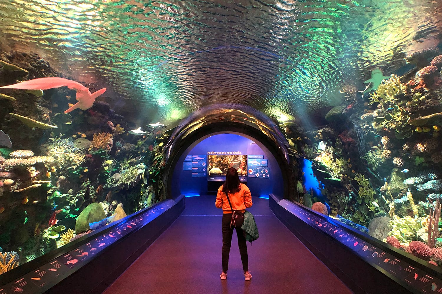 Women standing in the New York Aquarium in Coney Island, NY
