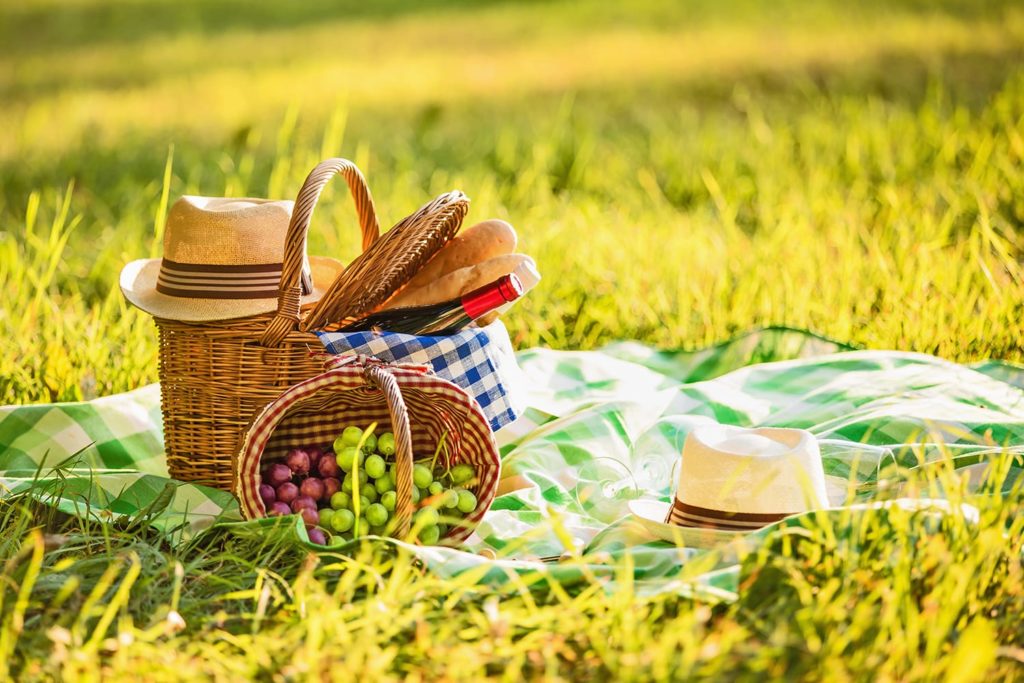 Picnic basket with wine and grapes in nature