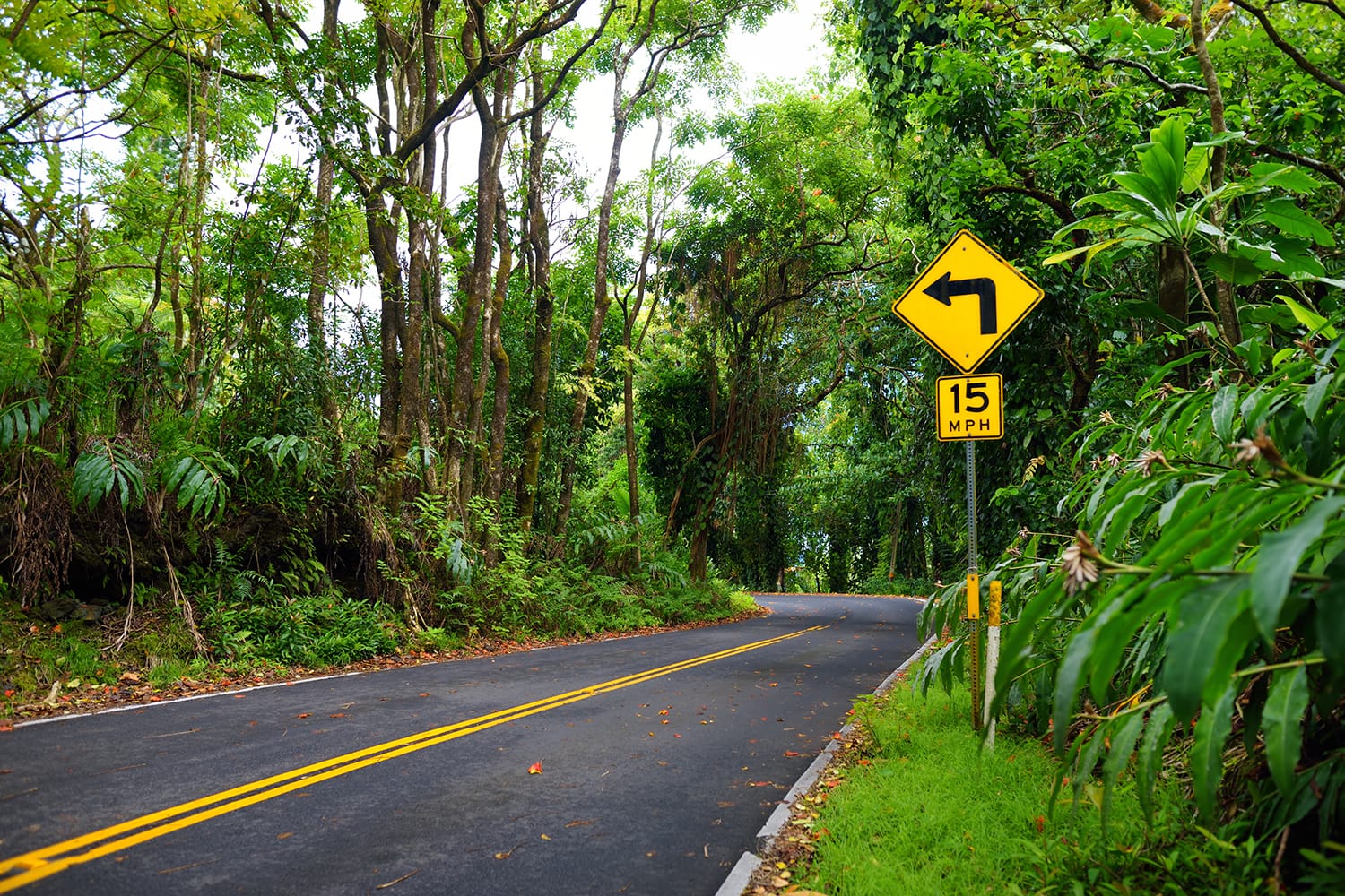 Famous Road to Hana fraught with narrow one-lane bridges, hairpin turns and incredible island views, curvy coastal road with views of cliffs, beaches, waterfalls, and miles of rainforest. Maui, Hawaii