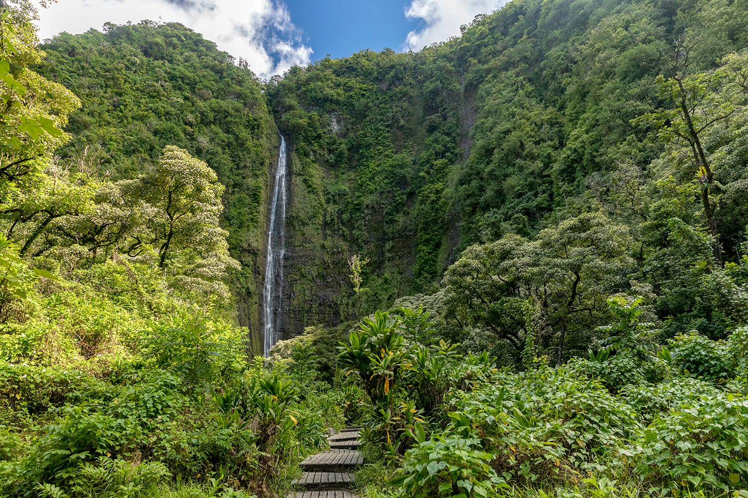 Trail to Waimoku Falls, Maui, Hawaii