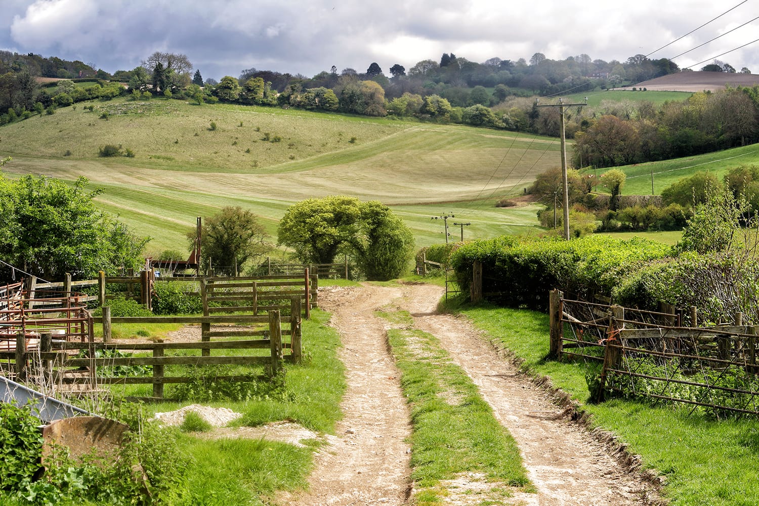 Spring Landscape in the Chiltern Hills in England with Farm track between fields