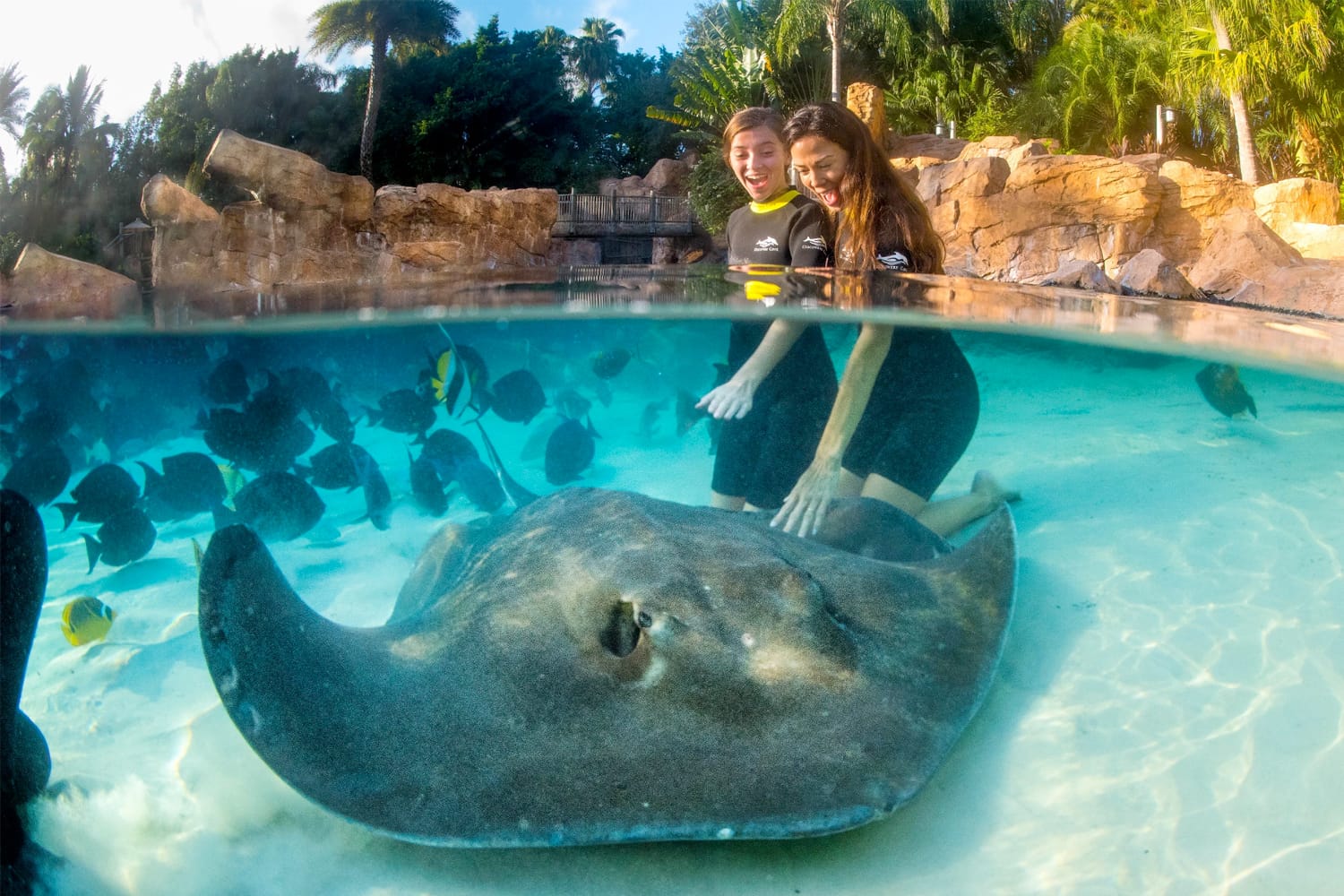Discovery Cove in Florida, USA
