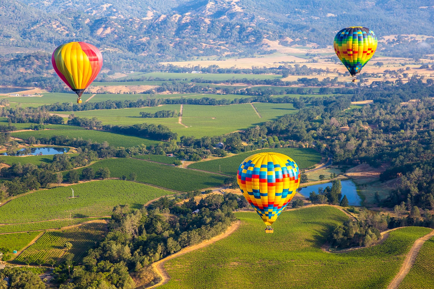 Hot Air Balloon Trip in Napa Valley, California, USA