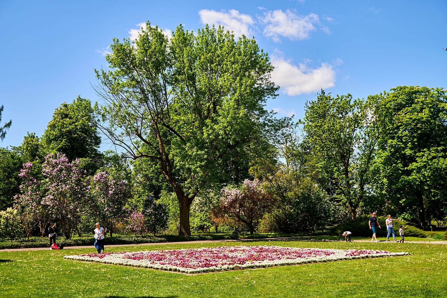 AMU Botanical Garden in Poznan, Poland