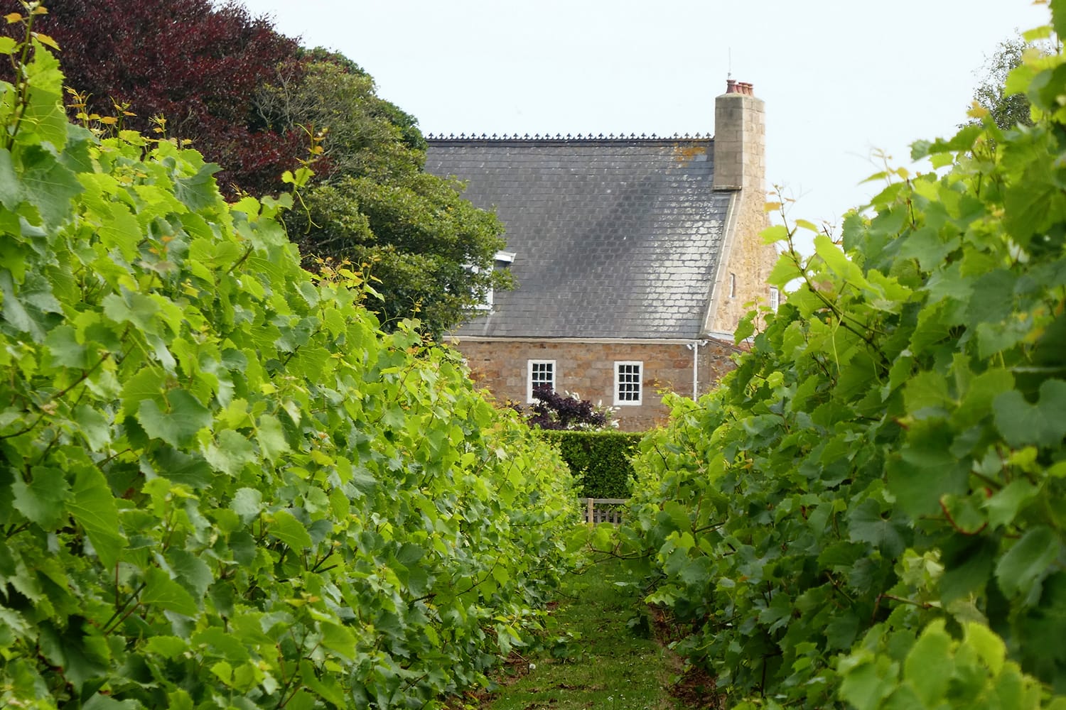 La Mare Wine Estate in Jersey, Channel Islands